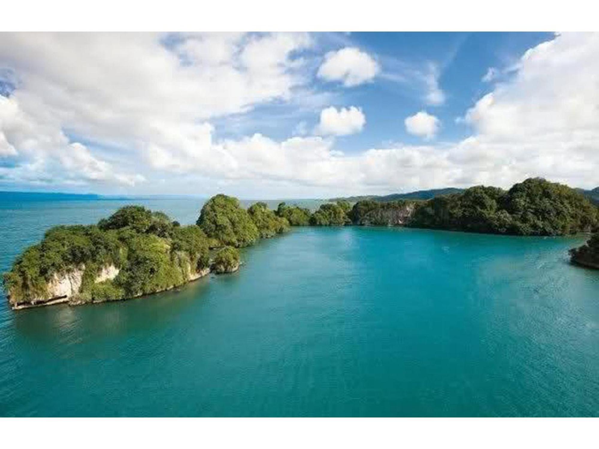 Room In Guest Room - Best Bed And Breakfast In Samana Breakfast Included Exterior foto